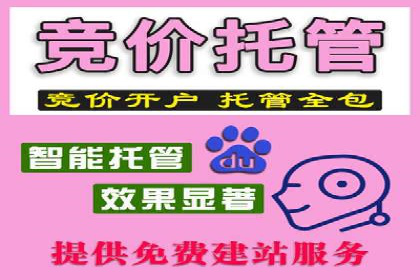 科技公司SEM服务托管的ROI提升之路